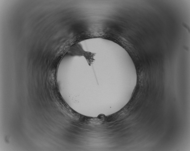 X0000100870373200807111323