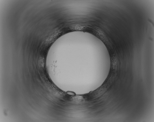 X0000100870374200807111323