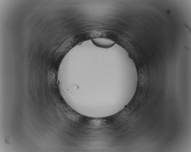 X0000100870375200807111323