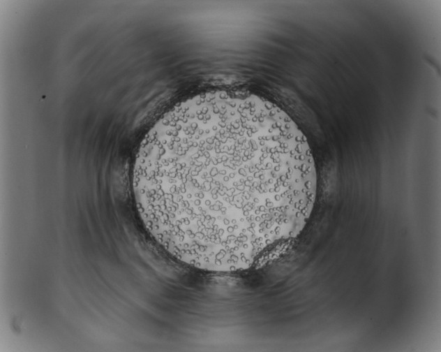 X0000100870376200807111323