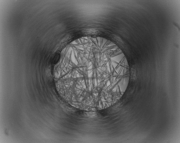 X0000100870377200807111323