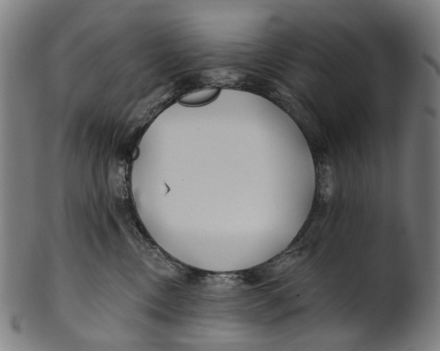 X0000100870378200807111324