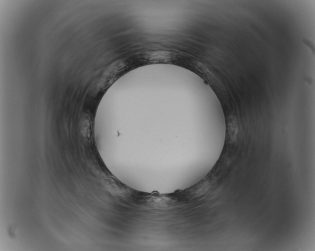 X0000100870379200807111324