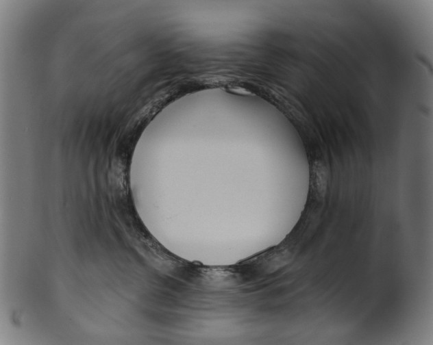 X0000100870380200807111324