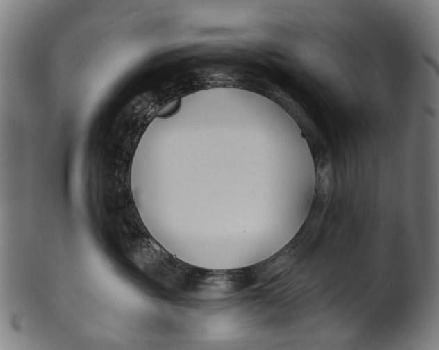 X0000100870381200807111324