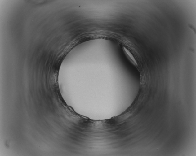 X0000100870382200807111324