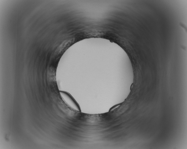 X0000100870384200807111324