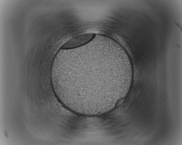 X0000100870385200807111323