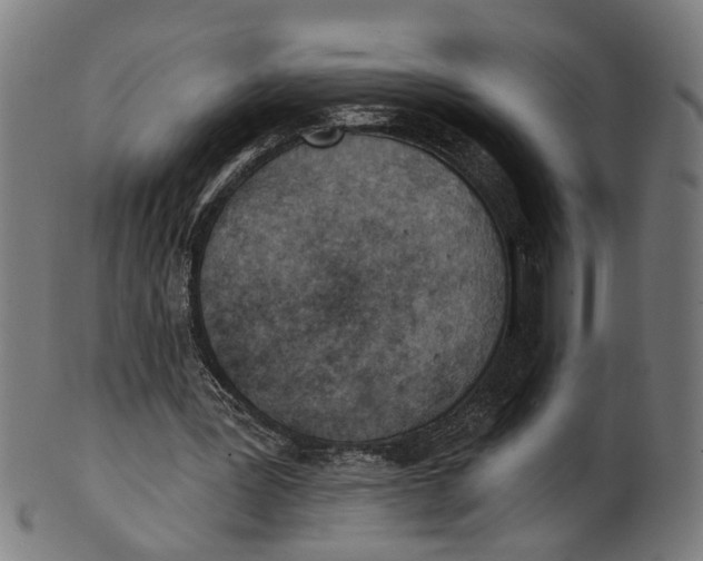 X0000100870387200807111323