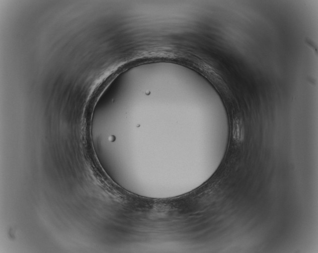 X0000100870388200807111323