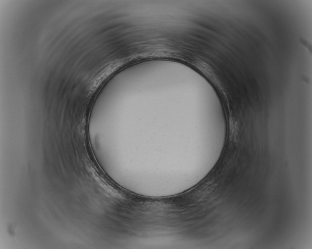 X0000100870389200807111323