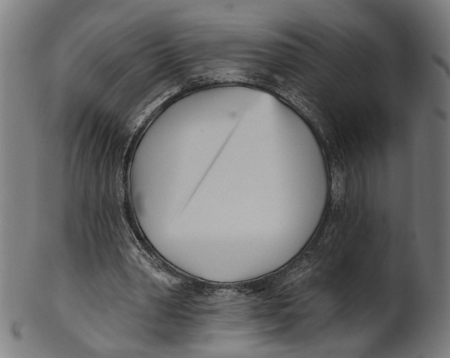 X0000100870390200807111323