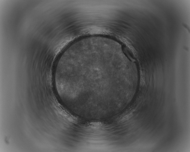 X0000100870391200807111323