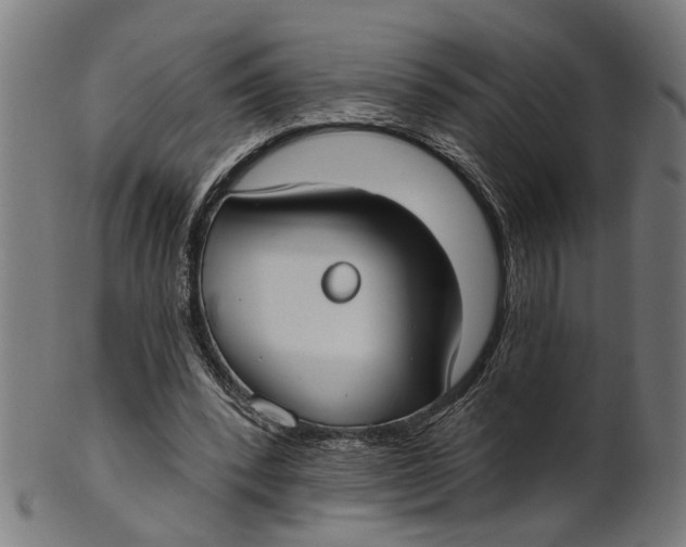 X0000100870392200807111323