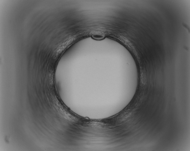 X0000100870393200807111323