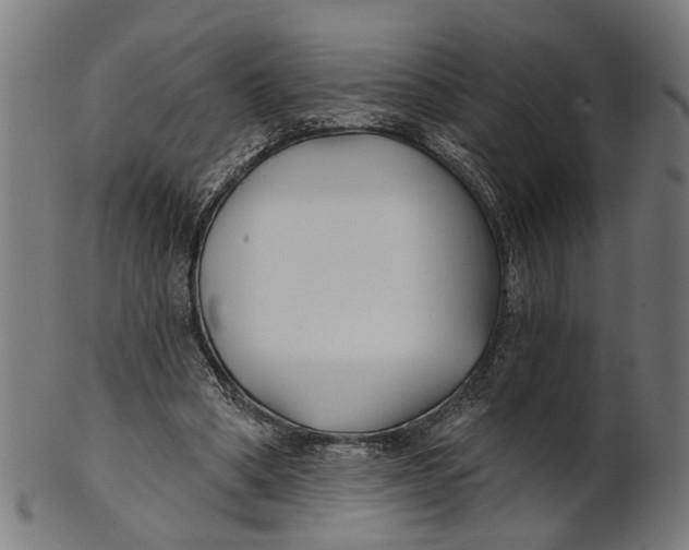 X0000100870394200807111323