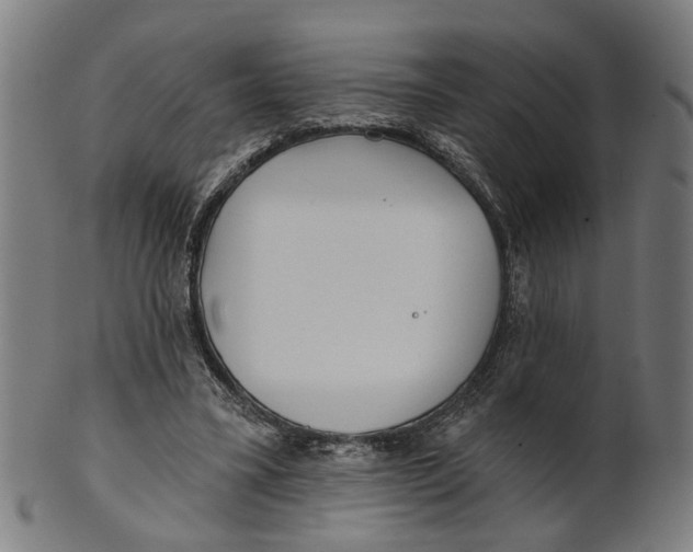 X0000100870395200807111323