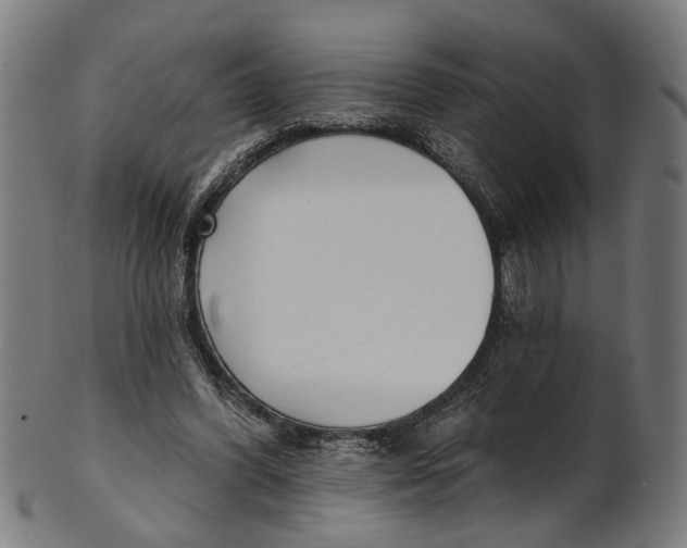 X0000100870396200807111323