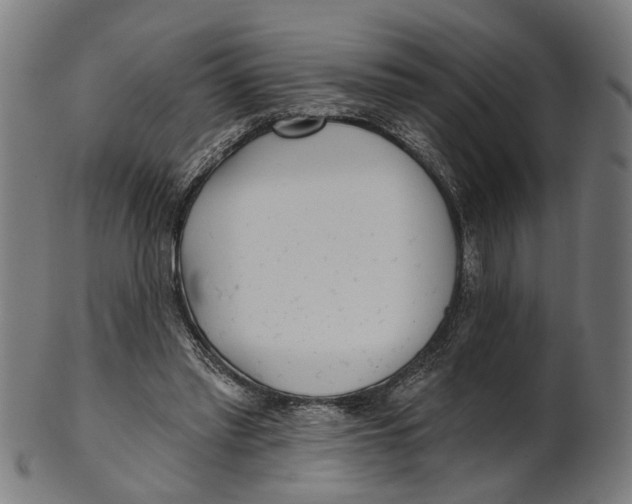 X0000100870397200807111323