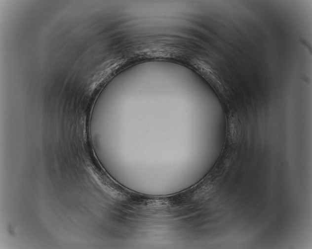 X0000100870398200807111323