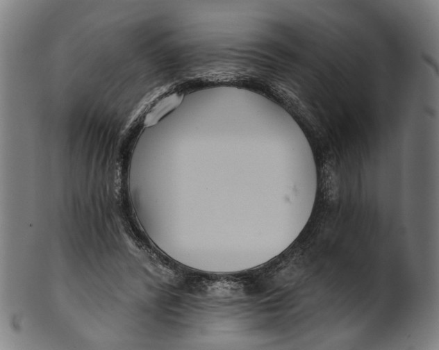 X0000100870400200807111323