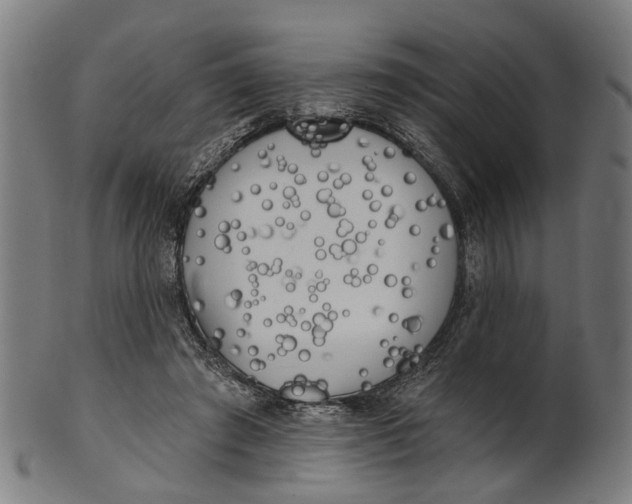 X0000100870401200807111323