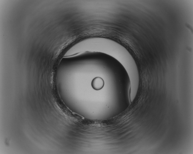 X0000100870404200807111323