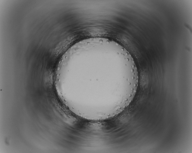 X0000100870405200807111323