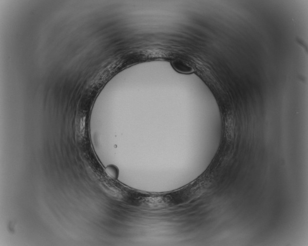 X0000100870406200807111323