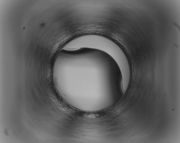 X0000100870407200807111323