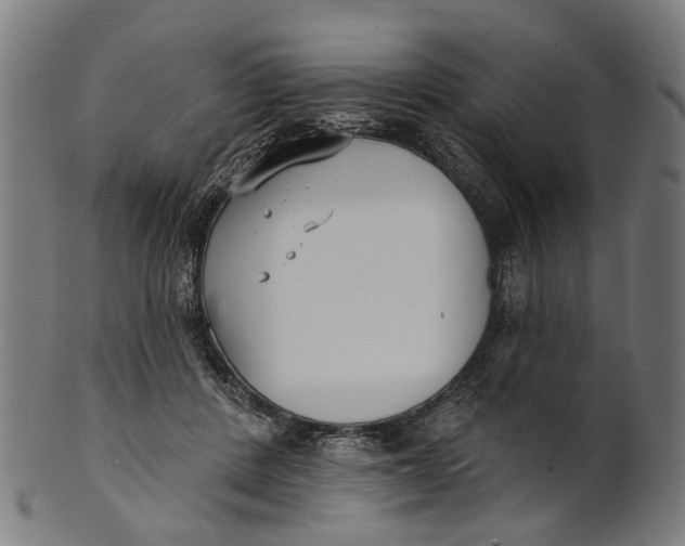 X0000100870408200807111323