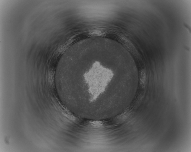 X0000100870409200807111323