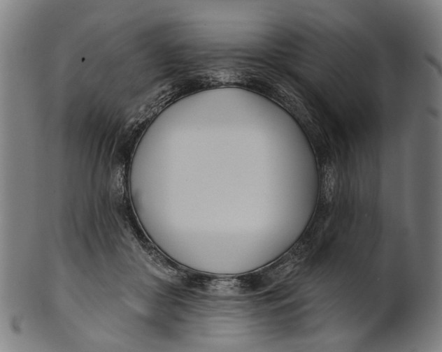 X0000100870410200807111322