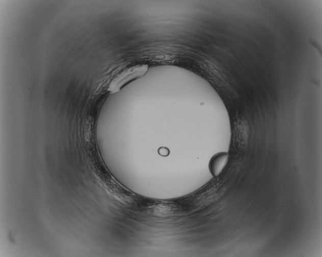 X0000100870412200807111322