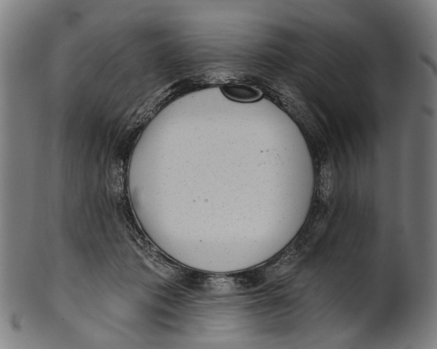 X0000100870413200807111322