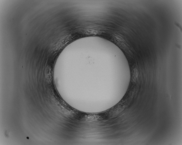 X0000100870414200807111322