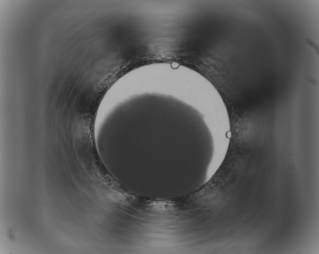 X0000100870415200807111322