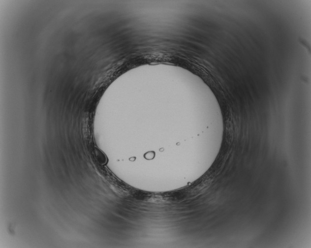 X0000100870416200807111322