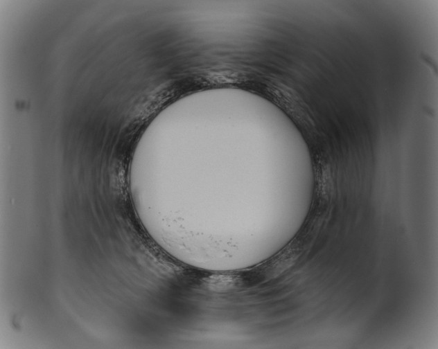 X0000100870418200807111322