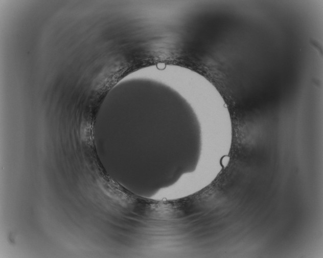 X0000100870419200807111322