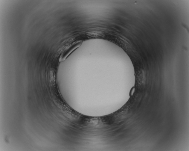 X0000100870420200807111322