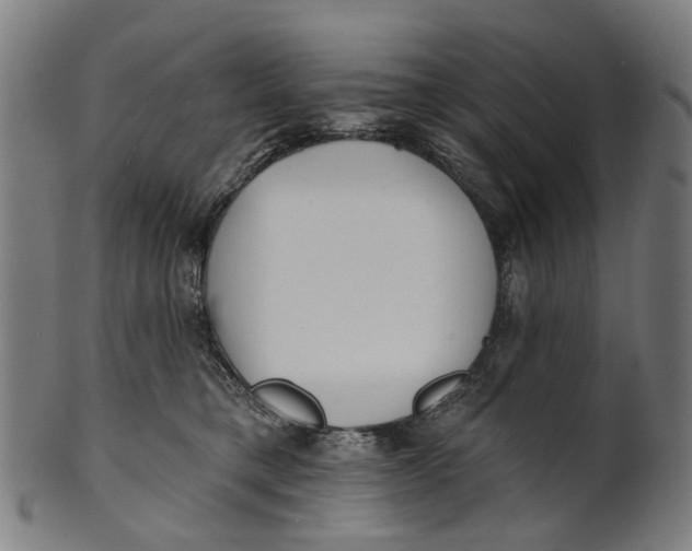 X0000100870421200807111322