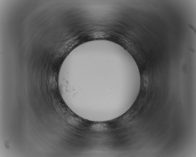 X0000100870422200807111322