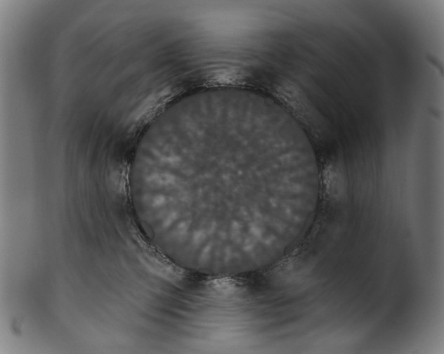 X0000100870423200807111322