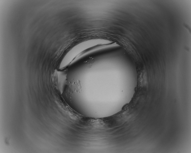 X0000100870424200807111322