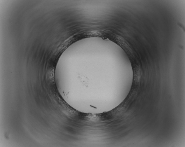 X0000100870425200807111322