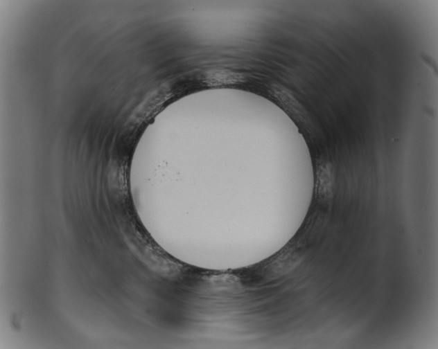 X0000100870426200807111322