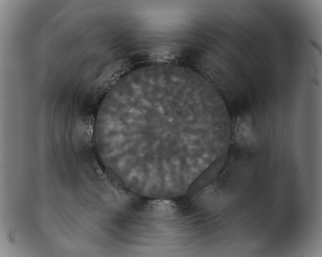 X0000100870427200807111322