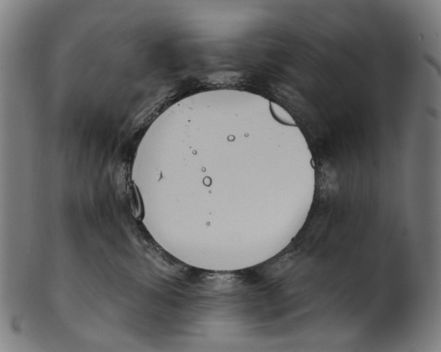 X0000100870428200807111322