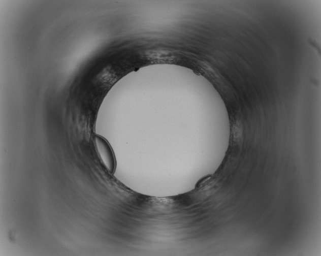 X0000100870429200807111322